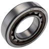 SKF Single-Row Cylindrical Roller Bearing 45 mm ID, 85 mm OD, 19 mm Width, Shielded, Non-Metallic Cage, 9500 NU 209 ECP/C3