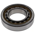 SKF Single-Row Cylindrical Roller Bearing 45 mm ID, 85 mm OD, 19 mm Width, Shielded, Non-Metallic Cage, 9500 NU 209 ECP/C3