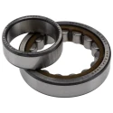 SKF Single-Row Cylindrical Roller Bearing 45 mm ID, 85 mm OD, 19 mm Width, Shielded, Non-Metallic Cage, 9500 NU 209 ECP/C3