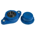SKF Stainless Steel 2 Hole Oval Flange Bearing Unit 25 mm ID F2BC 25M-CPSS-DFH