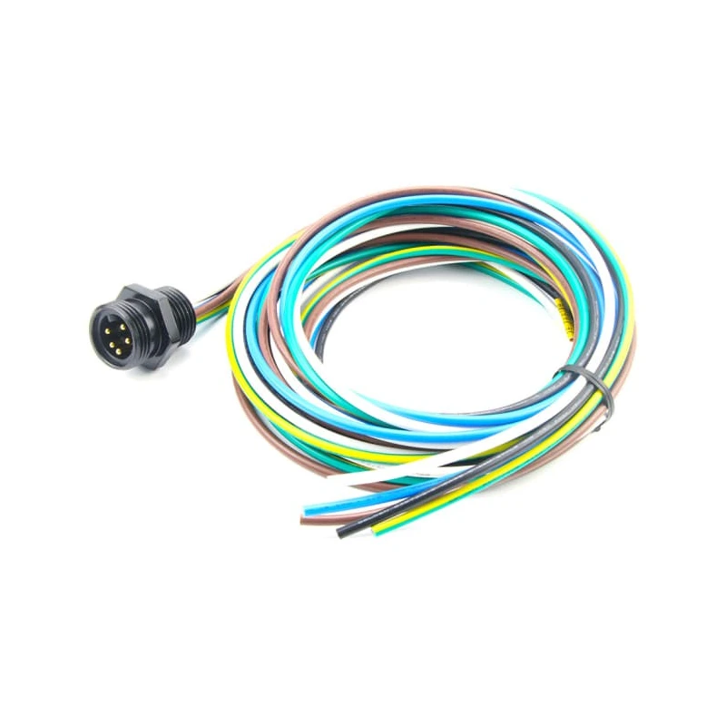 Brad from Molex Male 5 Way 7/8 In Circular, Straight to 5 Way Unterminated Sensor Actuator Cable 2m 1300138079