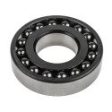 SKF Self-Aligning Ball Bearing 45.13 mm Inside Diameter, 100 mm Outside Diameter, 2 Row, Tapered Bore 1309 EKTN9/C3