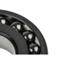 SKF Self-Aligning Ball Bearing 45.13 mm Inside Diameter, 100 mm Outside Diameter, 2 Row, Tapered Bore 1309 EKTN9/C3