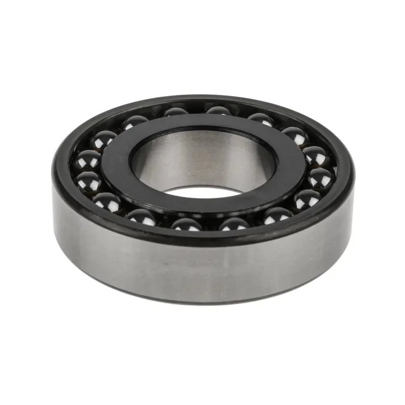 SKF Self-Aligning Ball Bearing 45.13 mm Inside Diameter, 100 mm Outside Diameter, 2 Row, Tapered Bore 1309 EKTN9/C3