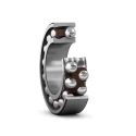 SKF Self-Aligning Ball Bearing 45.13 mm Inside Diameter, 100 mm Outside Diameter, 2 Row, Tapered Bore 1309 EKTN9/C3