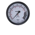 Enerpac 100 mm Dial Stainless Steel Case 1/2 in NPTF Pressure Gauge 700 bar GP10S