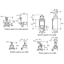 Honeywell Technologies GSA Series Roller Limit Switch, DPDT, IP67, Metal Housing, 600V AC, 6A GSAC20A1B