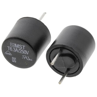 Schurter Non-Resettable Radial Fuse 6.3A, 250V AC Thermoplastic Body MST 250 Series 0034.6623