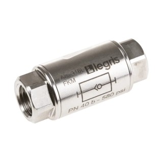 Legris 316L Stainless Steel Non Return Valve G 1/4 BSP Female Inlet and Outlet 180°C Maximum Operating Temperature 4890 13 13
