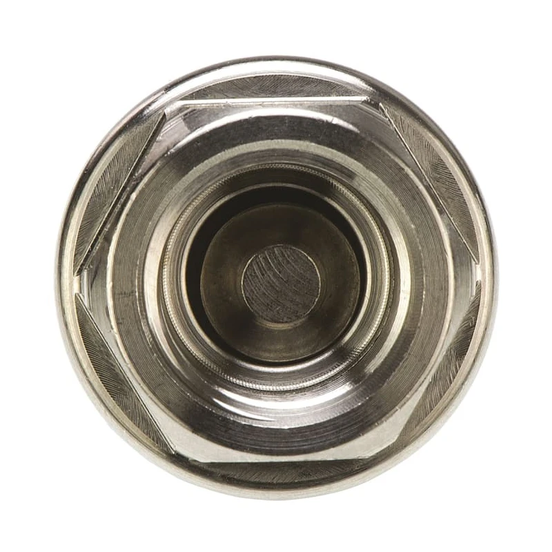 Legris 316L Stainless Steel Non Return Valve G 1/4 BSP Female Inlet and Outlet 180°C Maximum Operating Temperature 4890 13 13