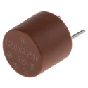 RS PRO Non-Resettable Fuse Radial 250mA 250V AC Nylon Body 7.2mm Length 611-0361