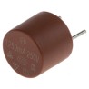 RS PRO Non-Resettable Fuse Radial 250mA 250V AC Nylon Body 7.2mm Length 611-0361