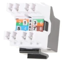 Roline Cat5e RJ45 Patch Panel RS Series, 1 Port UTP, Modular Design 26.11.0342-60
