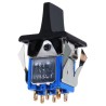 APEM DPDT On-Off-On (On)-Off-(On) Rocker Switch Panel 7000 Series 12.5 x 15 mm Cutout 6A 30V DC 7647AD+U1202+U702