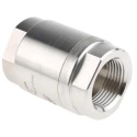 RS PRO Stainless Steel Threaded Single Non Return Valve 1 in BSP 25 bar 220°C 720-9282