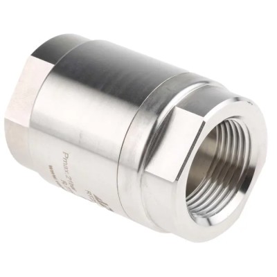 RS PRO Stainless Steel Threaded Single Non Return Valve 1 in BSP 25 bar 220°C 720-9282
