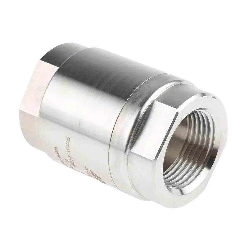 RS PRO Stainless Steel Threaded Single Non Return Valve 1 in BSP 25 bar 220°C 720-9282