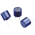 RS PRO Non-Resettable Fuse Radial 5A 250V Time Delay Thermoplastic Body 767-5165