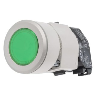 EAO Green Momentary Round Push Button Head 30.5 mm Cutout Diameter IP65 Plastic Housing 704.032.518