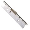 Pinet Raw 304 Stainless Steel Spring Hinge, Screw Fixing, 120mm x 40mm x 1.5mm 71-1-3793