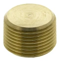 Legris Pneumatic Brass Pipe Fitting Threaded Plug Male R 3/4 in 0205 27 00
