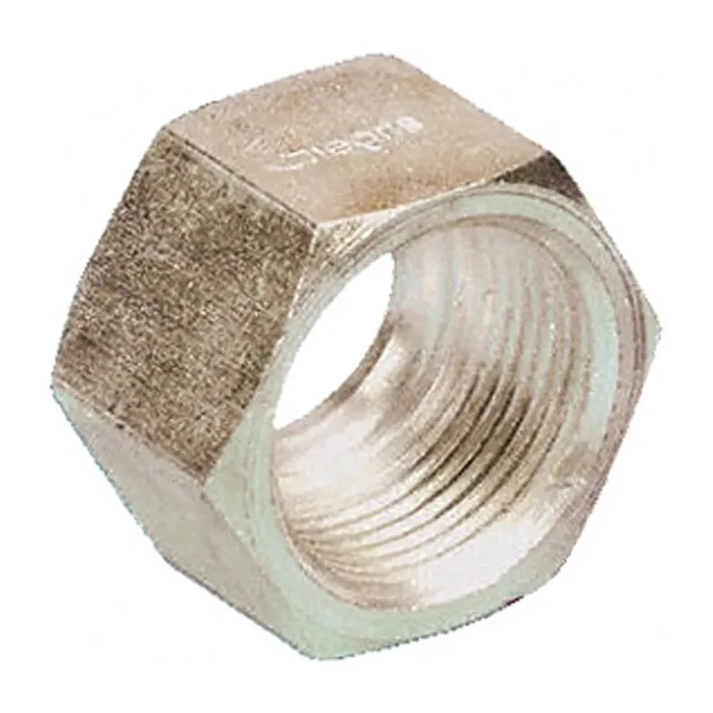Legris Stainless Steel Pipe Fitting Nut Straight Hexagon Nut Metric Threaded M22 x 1.5 1810 16 00