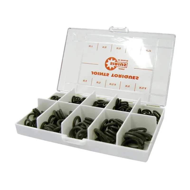 Watts Washer & Seal Kit Box Set with 200 Small Nitrile O-Rings in 10 Compartments 315298 189900 9