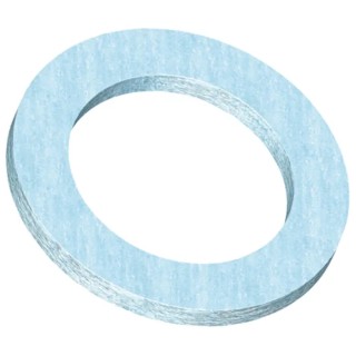 Watts Washer & Seal Kit with 3/4 in Non Asbestos Gasket France Origin 315298 122006 3