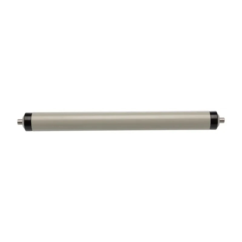Interroll Plastic Round Conveyor Roller Spring Loaded 20 mm Diameter x 100 mm Length, Stainless Steel 11AZS20D03 - 200