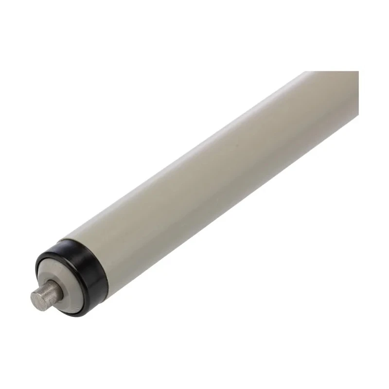 Interroll Plastic Round Conveyor Roller Spring Loaded 20 mm Diameter x 100 mm Length, Stainless Steel 11AZS20D03 - 200