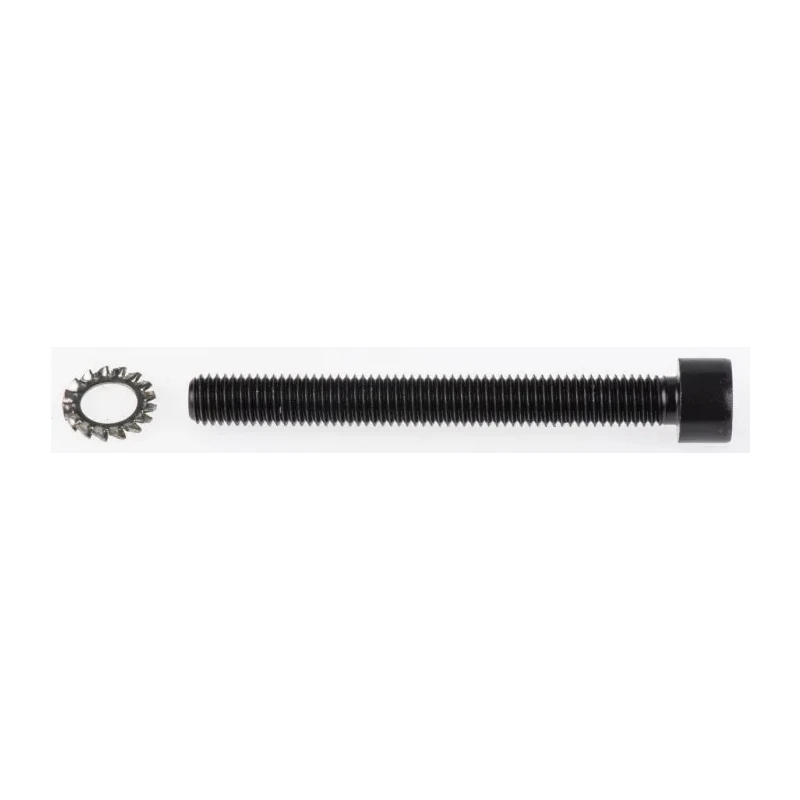 Tente Swivel Castor, 60 kg Load Capacity, 75 mm Rubber Wheel, Precision Ball Bearing, Polypropylene Hub 2470PJP075P30CHC10X90
