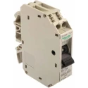 Schneider Electric Thermal Magnetic Circuit Breaker 1-Pole, 2A Current Rating, DIN Rail Mount, 15kA Breaking Capacity GB2CD07