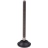 Nu-Tech Engineering Stainless Steel Adjustable Foot M12 Thread 55 mm Diameter 600 kg Static Load Capacity 10° Tilt A095/031