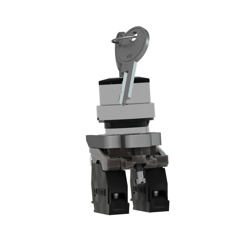 Schneider Electric IP69 IP67 IP69K IP66 Key Switch 2 NO 10A 2-Way 455-Key XB4BG33