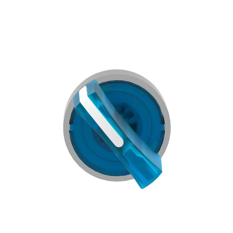 Schneider Electric Harmony Series 2 Position Illuminated Selector Switch Head, 22 mm Cutout, Blue Handle, IP66 IP69 ZB4BK1263