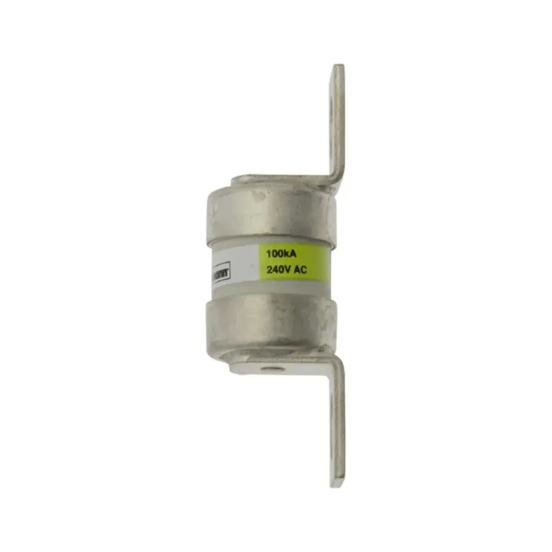 Eaton 50A British Standard Fuse 18 x 59 mm 240V AC High Rupture Capacity GSA50