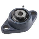 SKF 2 Hole Flange Bearing Unit 12 mm Inside Diameter Cast Iron Housing 98.5x57x32.9 mm FYTB 12 TF