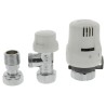 Altecnic Brass 1/2 in to 1/2 in Thermostatic Radiator Valve CA-200415.R