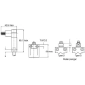 Honeywell Technologies SSCE Series Plunger Limit Switch, SPDT, IP68, Die Cast Zinc Housing, 600V AC, 6A SSCEB31B
