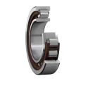 SKF Cylindrical Roller Bearing 55 mm Inside Diameter, 100 mm Outside Diameter, 21 mm Race Width, Non-Metallic NU 211 ECP
