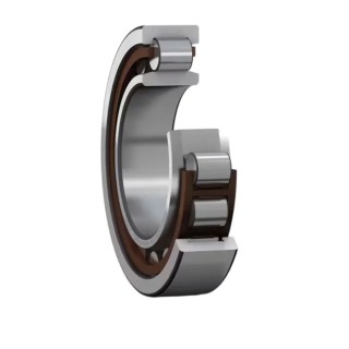 SKF Cylindrical Roller Bearing 55 mm Inside Diameter, 100 mm Outside Diameter, 21 mm Race Width, Non-Metallic NU 211 ECP