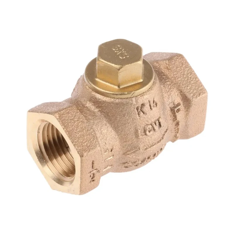 Spirax Sarco Bronze Threaded Check Valve 1/2 in, 14 bar 293100