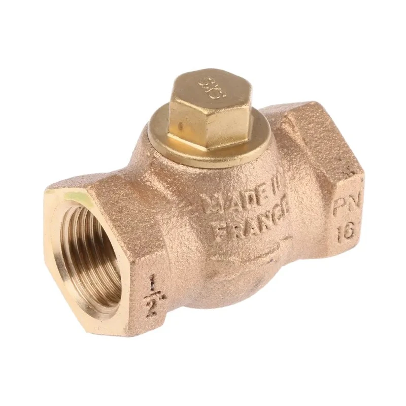 Spirax Sarco Bronze Threaded Check Valve 1/2 in, 14 bar 293100