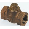 Spirax Sarco Bronze Threaded Check Valve 3/4 in, 14 bar 293200