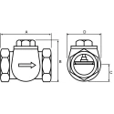 Spirax Sarco Bronze Threaded Check Valve 3/4 in, 14 bar 293200