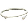 HellermannTyton Connectivity Cat6 Cable Grey 2 m U/UTP PVC Jacket LSOH