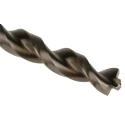 DeWALT High Speed Steel Drill Bit 12 mm Diameter, 151 mm Overall Length DT5060-QZ