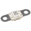 Littelfuse 80A Natural Thermoplastic Time Delay Car Fuse 32V dc BF1 Series 153.5631.5801