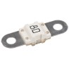 Littelfuse 80A Natural Thermoplastic Time Delay Car Fuse 32V dc BF1 Series 153.5631.5801