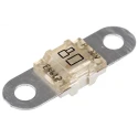 Littelfuse 80A Natural Thermoplastic Time Delay Car Fuse 32V dc BF1 Series 153.5631.5801
